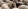 Foto: iStock. Vlaams Belang interpelleert Brusselse regering over onverdoofd slachten